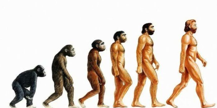 Jenis Perubahan: Evolusi dan Revolusi