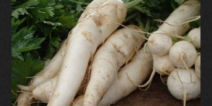 Khasiat Sayur Lobak: Sifat Antikanker hingga Tak Ganggu Diet – Gaya