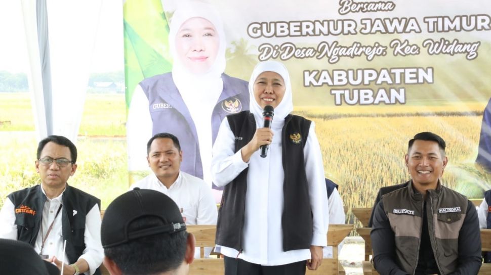 Gubernur Khofifah Panen Padi Inpari 32 HDB di Tuban