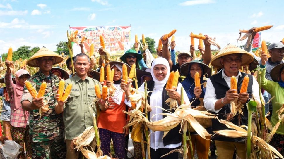 Sejumlah Daerah Panen Raya Padi, Gubernur Khofifah Apresiasi Jatim Berhasil Pertahankan Kenaikan Nilai Tukar Petani
