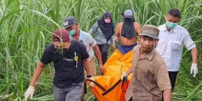 Terungkap! Ibu dan Bayinya Mati Mengenaskan di Kebun Tebu Dibunuh Suami