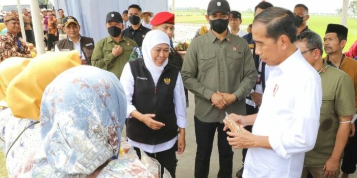 Tanam Padi Bersama Presiden Jokowi, Gubernur Khofifah Siap Maksimalkan Produksi Panen