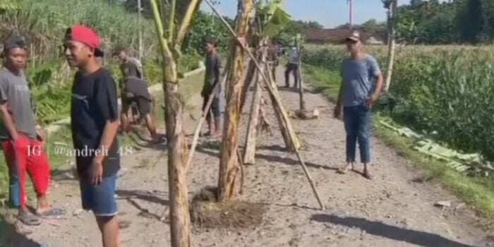 Geram Jalan Rusak, Warga Dadapan Nganjuk Tanam Pohon Pisang di Tengah Jalan – Berita Jatim