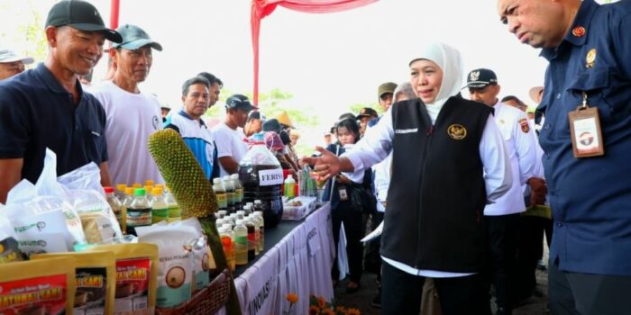 Tinjau Pertanian, Gubernur Khofifah: Ngawi Masuk Jajaran Daerah Tertinggi Penghasil Padi Nasional – Berita Jatim