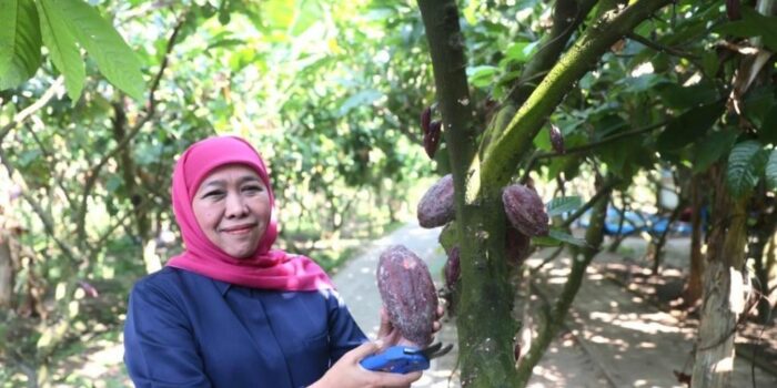 Kunjungi Kampung Coklat Blitar, Gubernur Khofifah Optimistis Bisa Tingkatkan Kesejahteraan Masyarakat