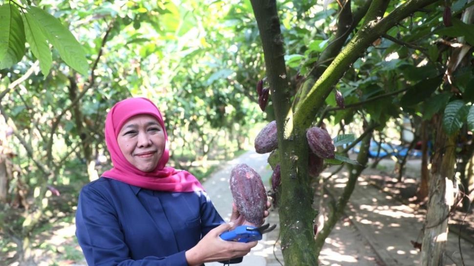 Kunjungi Kampung Coklat Blitar, Gubernur Khofifah Optimistis Bisa Tingkatkan Kesejahteraan Masyarakat