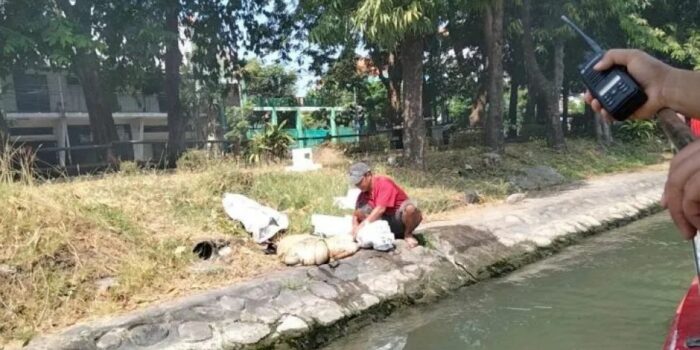 Peringatan untuk Warga Surabaya, Jangan Nekat Buang Rumen Hewan Kurban di Sungai