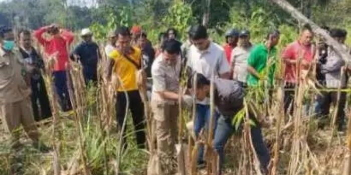 Polres Ngawi Beber Hasil Autopsi Jasad Perempuan di Kebun Jagung, Terungkap Fakta Baru