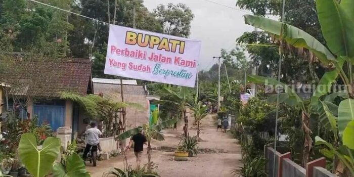 Kesabaran Habis, Warga Sambut Bupati Blitar dengan Tanam Pohon Pisang di Jalan Rusak