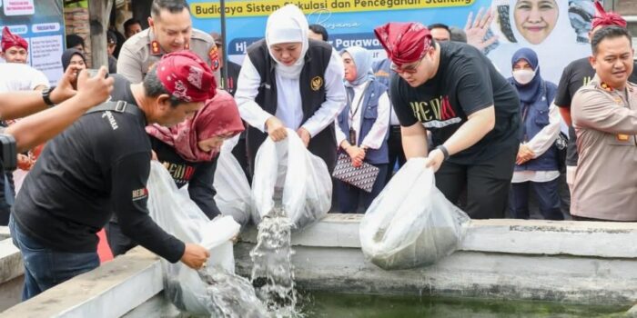 Bermanfaat untuk Cegah Stunting, Gubernur Khofifah Dorong Peningkatan Budidaya Ikan Lele