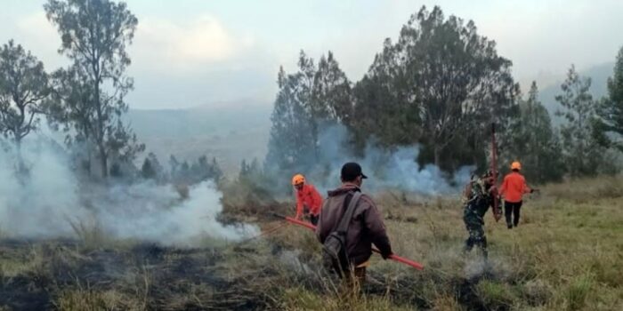 BREAKING NEWS: Kebakaran Lahan di Bondowoso Meluas Mencapai 35 Hektar