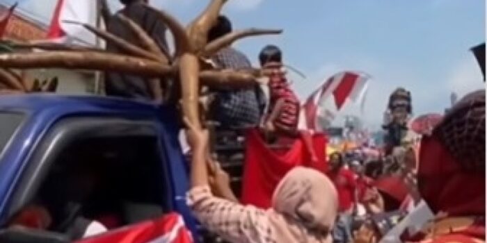 Gak Ada Akhlak, Emak-emak Nekat Ambil Singkong dari Mobil Karnaval