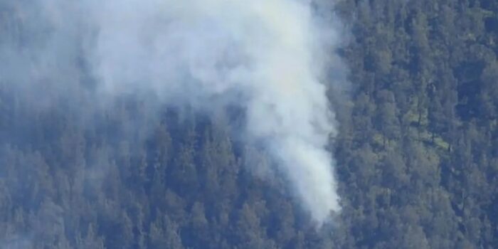 Kebakaran Hutan Terjadi di Kawasan Taman Nasional Bromo Tengger Semeru dalam 2 Hari Terakhir