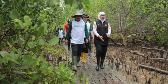 Jatim 3 Tahun Berturut-Turut Juara Umum Lomba Wana Lestari Nasional