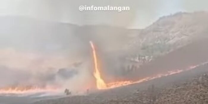 Ngeri! Muncul Tornado Api di Kawasan Savana Bromo