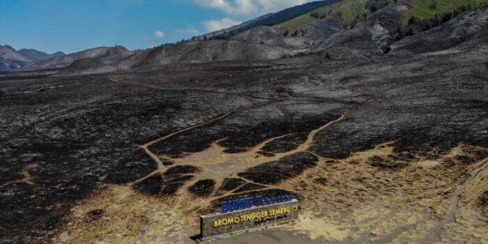 Gegara Flare untuk Foto Prewedding, Kerugian Akibat Kebakaran Bromo Capai Angka Miliaran Rupiah – Berita Jatim