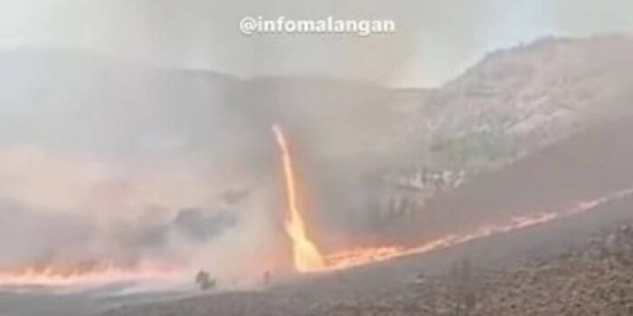 Kebakaran Bromo Telan Biaya Sekitar Rp10,3 Miliar untuk Pemadaman dengan Waterbombing