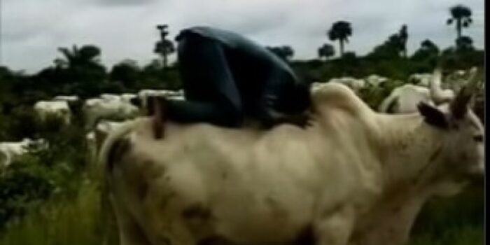 Viral Seorang Pria Salat di Atas Sapi Tuai Perdebatan Warganet – Berita Jatim