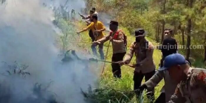 16 Hektar Hutan di Gunung Lawu Terbakar, Petugas Berjibaku Memadamkan Api – Berita Jatim