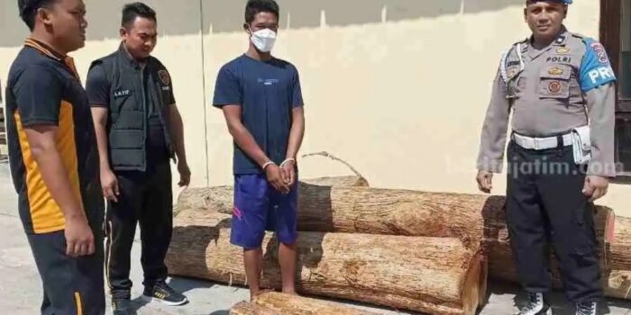 Pria di Tuban Terancam Dipenjara 5 Tahun Gegara Tebang Pohon – Berita Jatim