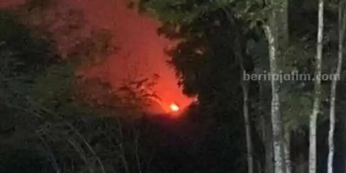 BREAKING NEWS: Hutan di Lereng Gunung Argopuro Terbakar, Api Berkobar Besar