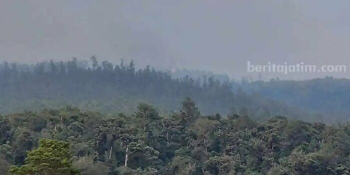 Gunung Lawu Masih Terbakar, Petugas Terus Berupaya Memadamkan Api