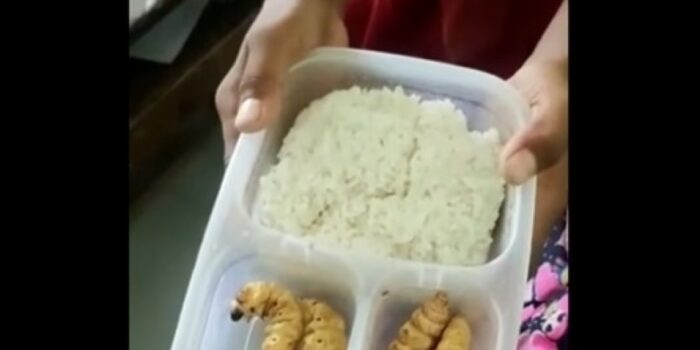 Viral Siswa SD di Bojonegoro Dikatain Guru Gegara Bawa Bekal Lauk Ulat: Tinggi Protein Pak