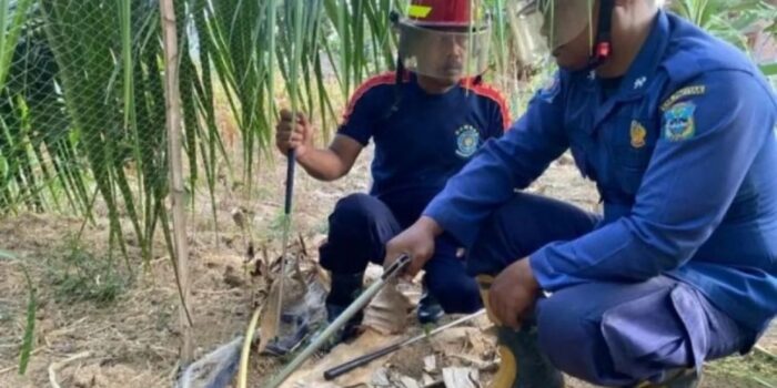 Siswa SMP di Pacitan Dilarikan ke Rumah Sakit Usai Terkena Semburan Bisa Ular Cobra – Berita Jatim