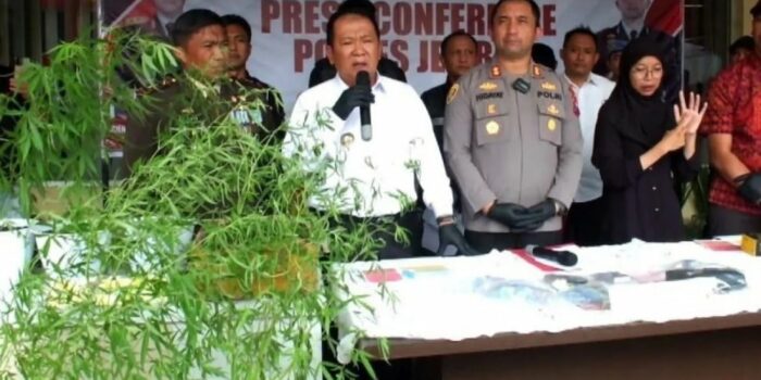 Tidak Sekadar Jual, Warga Jember Ini Juga Tanam Ganja di Pekarangan Rumahnya