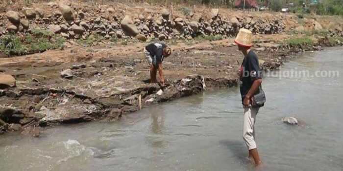 Alamak! Sungai di Ponorogo Berubah Warna Menjadi Hijau dan Berbuih – Berita Jatim