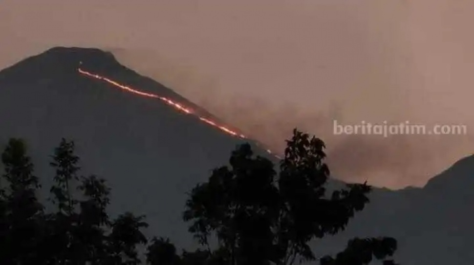 Kondisi Terkini Kebakaran Gunung Penanggungan, Api Mengecil Tapi Belum Padam