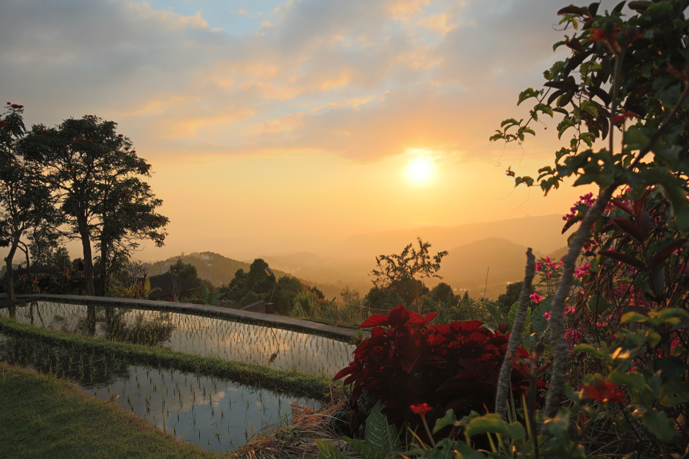 Menikmati Sunset di Desa Munduk Bali