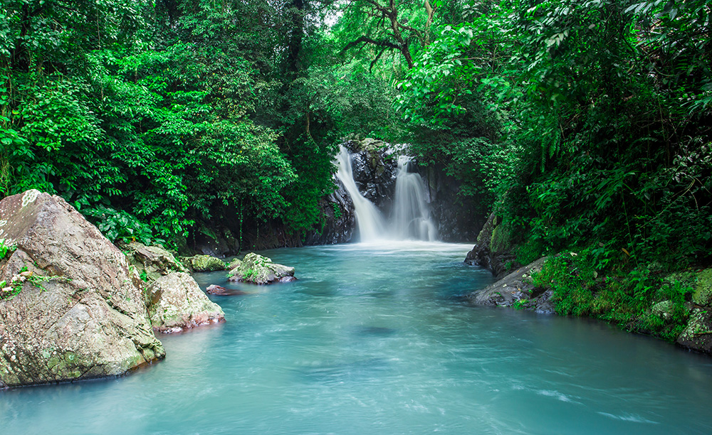 Tempat Wisata di Bali Selain Pantai : Secret Garden Bali