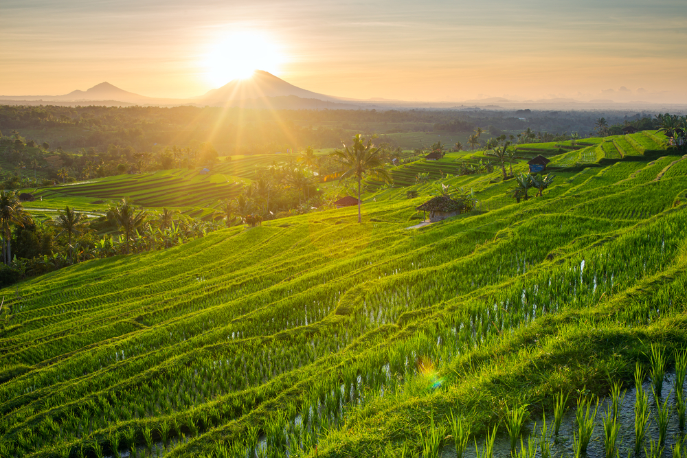 Tempat prewedding di Jatiluwih Tabanan Bali