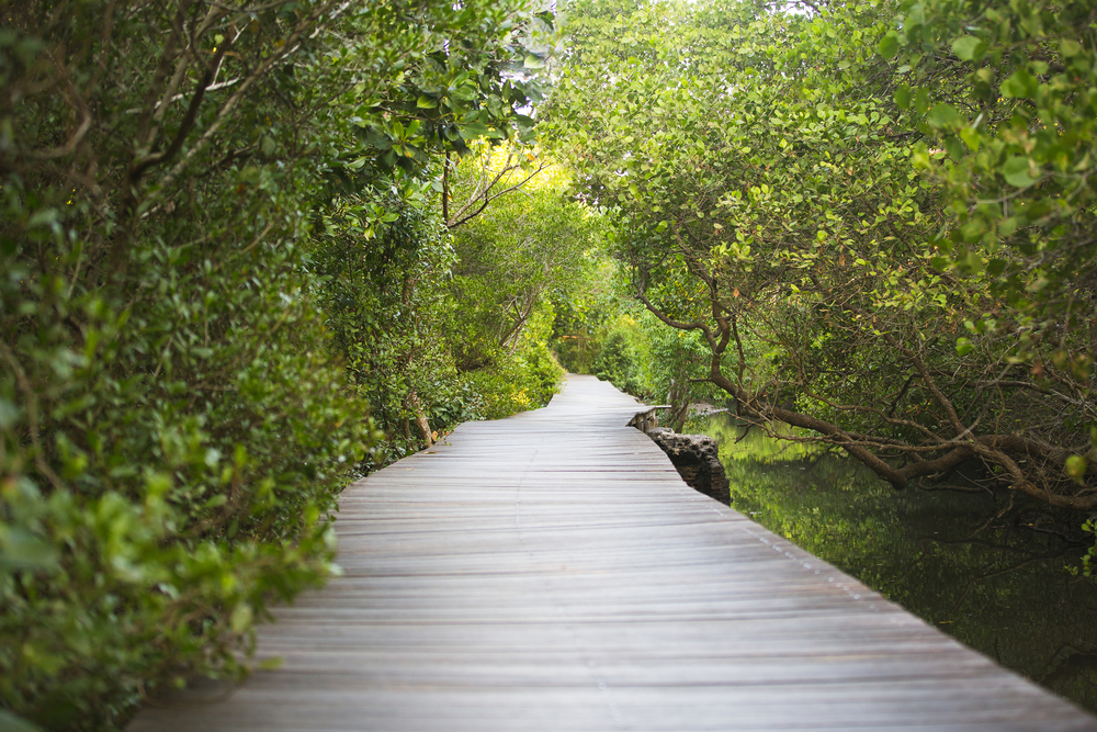 Tempat prewedding di Mangrove Denpasar Bali