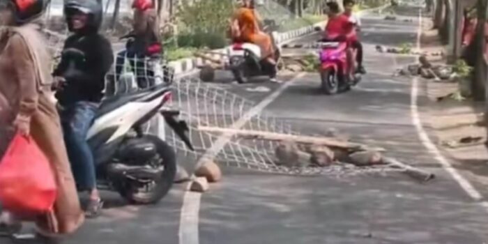 Amuk PKL Pantai Kenjeran Surabaya, Berawal dari Satpol PP Tertibkan Pedagang Nakal