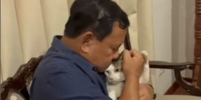 Mengenal Bobby Gemoy Milik Prabowo Subianto, Kucing Kesayangan Punya Akun Media Sosial Hingga Ribuan Penggemar – Berita Jatim
