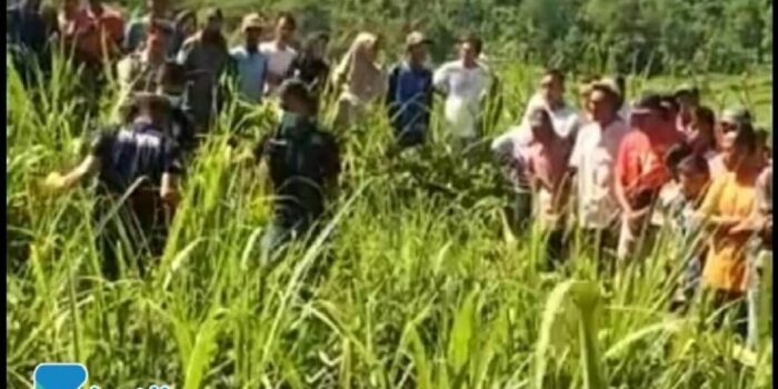 Warga Tlogosari Bondowos Gempar, Jasad Laki-laki dengan Luka Ditemukan di Ladang Tebu – Berita Jatim
