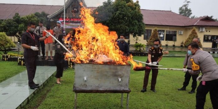 Penampakan Ganja 11 Kilogram yang Dibakar Kepolisian, Awalnya Bakal Dikirim ke Malang