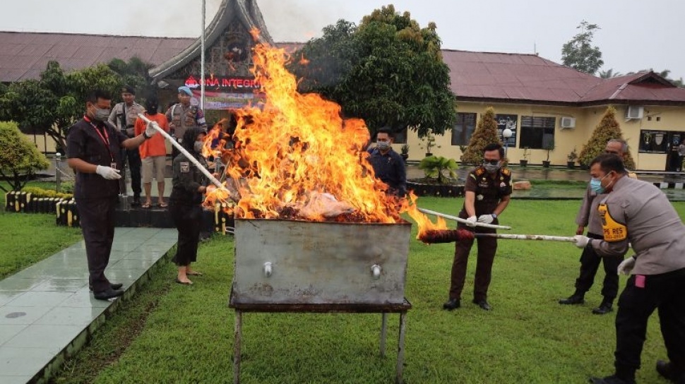 Penampakan Ganja 11 Kilogram yang Dibakar Kepolisian, Awalnya Bakal Dikirim ke Malang