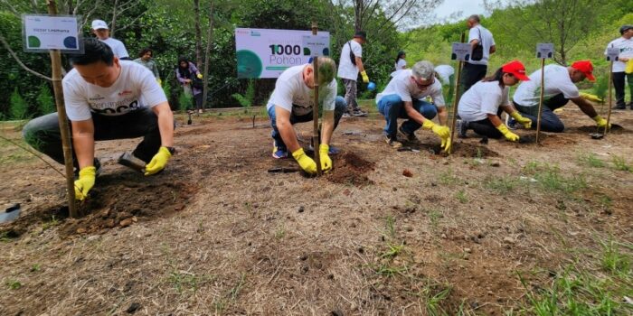 Kisah Nelayan Pasuruan Dibilang ‘Orang Gila’ Tanam Mangrove di Pantai, Kini Manfaatnya Luar Biasa – Berita Jatim