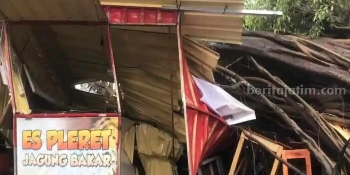 Ngeri! Detik-Detik Pohon Beringin Tua di Alun-Alun Blitar Tumbang, 10 Orang Jadi Korban