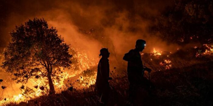 Berita Kebakaran Hutan Kolombia Hancurkan Lebih dari 17 Ribu Hektare Lahan