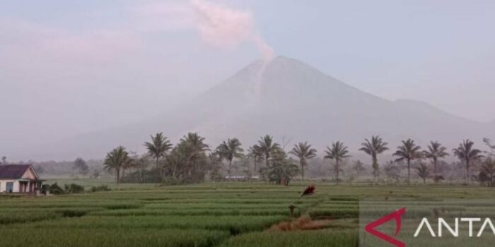 Aktivitas Gunung Semeru Belum Surut, 2 Kali Erupsi dalam Sehari