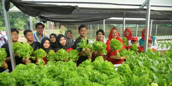 Berita Walkot Ajak Anak Muda Semarang Jadi Agen Ketahanan Pangan