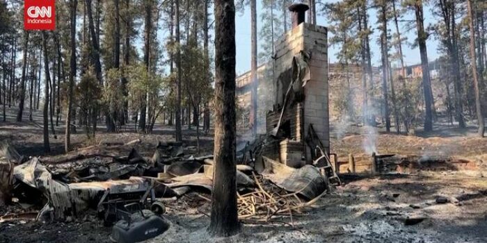 Berita Penampakan Kehancuran Akibat Kebakaran Hutan di New Mexico