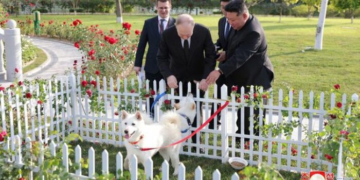 Berita Putin Dapat Hadiah Sepasang Anjing Pungsan Putih dari Kim Jong Un
