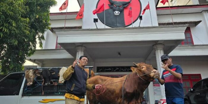 Berita Bantu Peternak Lokal, DPC PDIP Seluruh Jatim Sambut Idul Adha 2024