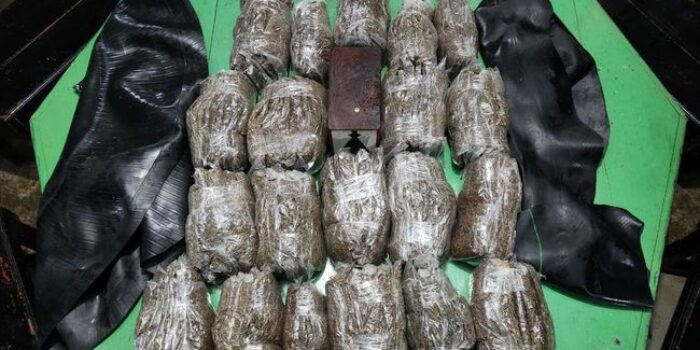 Berita Polisi Bongkar Penyelundupan Ganja Disamarkan Ikan Asin di Depok