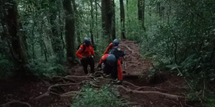 Berita 4 Pendaki Tersesat di Gunung Batukaru Bali Dievakuasi Tim SAR